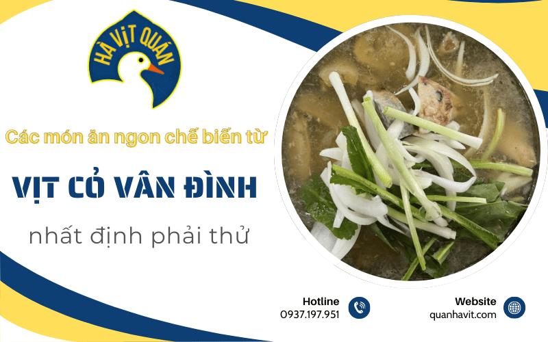 món ăn chế biến từ vịt cỏ Vân Đình