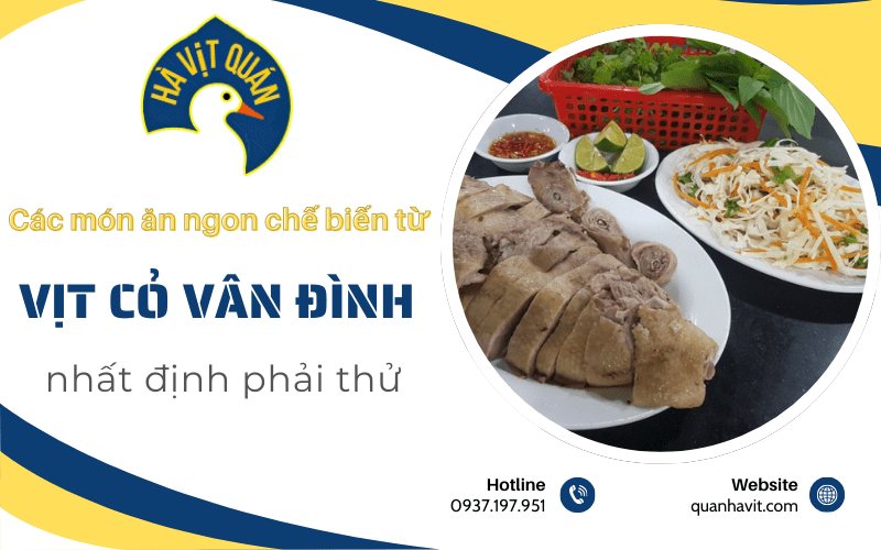 món ăn chế biến từ vịt cỏ Vân Đình