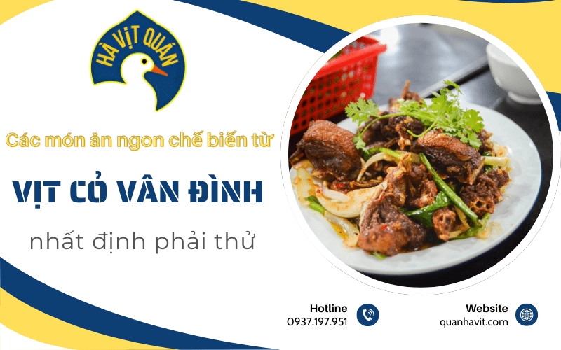 món ăn chế biến từ vịt cỏ Vân Đình