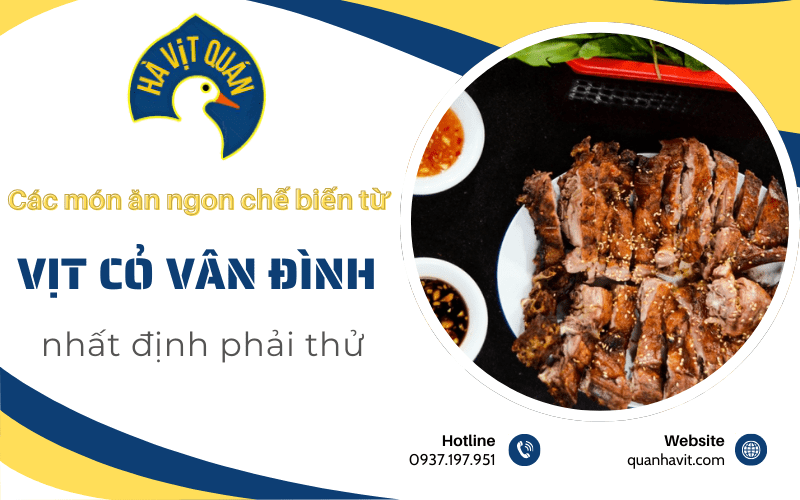 món ăn chế biến từ vịt cỏ Vân Đình