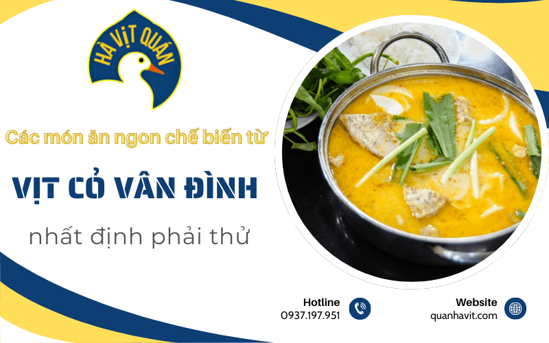 món ăn chế biến từ vịt cỏ Vân Đình